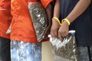 Polda Papua ungkap 111 kasus narkotika, sita 40,7 Kg ganja