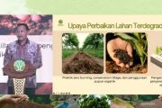 Kemenhut: 12,3 juta hektare lahan kritis Indonesia perlu rehabilitasi