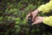 Tetra Pak Advances Food System Resilience as It Cuts GHG Emissions Across the Value Chain by Over a Third