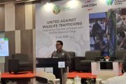 Kemenhut sebut pencegahan perdagangan satwa liar lindungi dari zoonosis