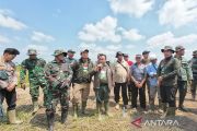 Tim gabungan tertibkan kebun kelapa sawit ilegal dalam kawasan TNBS