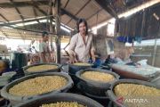 Harga kedelai impor di Kudus mengalami penurunan