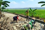 Legislatif Kulon Progo mendukung pembangunan JUT di Kapanewon Lendah