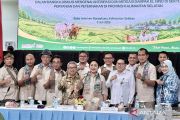 Indonesia strengthens animal disease control as El Nino looms
