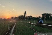 Tarif listrik triwulan III 2026 tetap, PLN siap jalankan kebijakan pemerintah dan jaga kualitas layanan ke Masyarakat
