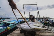 Indonesia forges maritime partnerships to bolster food security