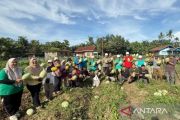 Pengembangan Vermikompos bantu petani Aek Korsik tingkatkan produktivitas