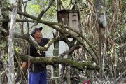 Dari Dusun Limang, madu khas Bangka tapaki akses pasar yang lebih luas