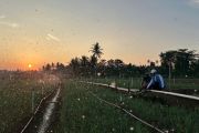 Tarif Listrik Triwulan III 2026 Tetap, PLN Siap Jalankan Kebijakan Pemerintah dan Jaga Kualitas Layanan ke Masyarakat