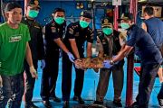 Karantina: Perikanan dari Natuna mampu bersaing di pasar ekspor