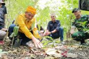 Pemkab-Sigi ajak lintas sektor jaga kawasan Hutan Ranjuri