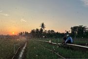 Tarif listrik triwulan III 2026 tetap PLN jalankan kebijakan pemerintah