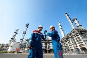 Pertamina buka rekrutmen internship bagi fresh graduate, pendaftaran hingga 5 Juli 2026