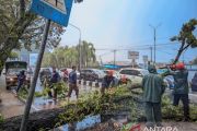 Hujan Disertai Angin Kencang, Fadly Amran Imbau Masyarakat Waspada Cuaca Ekstrem
