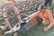 Tim SAR gabungan berhasil menemukan korban tenggelam di Pantai Goa Cemara Bantul
