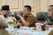 Pemkab Kapuas siap panen raya padi seluas 25.817 hektare