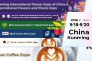 Yunnan Flower Exports Maintain Strong Growth Ahead of IFEX Kunming 2026