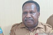 Koperasi milik pemda perluas pasar hasil tani Papua Pegunungan