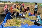 Wabup Gunungkidul dorong penerapan inovasi pertanian ramah lingkungan