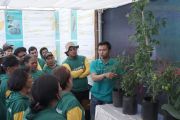 Bayer Indonesia luncurkan Camalus: Inovasi insektisida sistemik ganda untuk memperkuat produktivitas hortikultura nasional