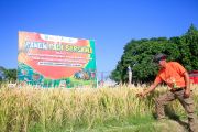 Pemkab Gunungkidul mendorong petani terapkan pertanian ramah lingkungan