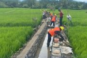 PLN-KKP jalin kerja sama memperkuat ketahanan pangan dan energi