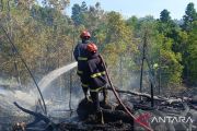 Damkar Lamsel berhasil padamkan kebakaran lahan di Kalianda