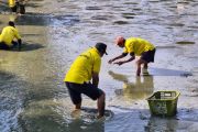 Lapas-Parigi kembangkan program pembinaan berbasis ketahanan pangan
