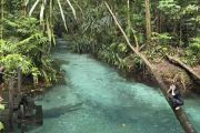 Raja Ampat, Surga di Timur yang mengajarkan arti kepatuhan pajak