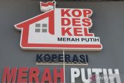 Pemkab Jepara menunggu juknis Kopdes jadi "offtaker" tangkapan nelayan