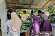 Bulog Natuna perkuat pasokan beras hingga delapan bulan
