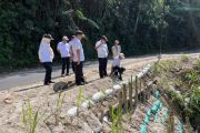 Lampung pasang turap bambu di ruas batas Liwa-Sumsel