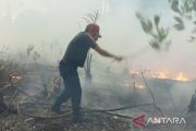 BNPB ungkap pemicu kebakaran lahan di Klaten meluas hingga ke hutan