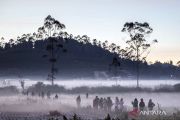 Berwisata fenomena embun beku di dataran tinggi Dieng