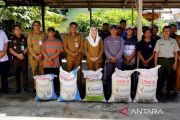 Pemkab Natuna distribusikan pupuk subsidi pada 733 petani