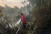 Lima daerah di Sumsel berstatus zona merah karhutla