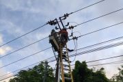 PLN Batam lakukan pemeliharaan preventif untuk jaga keandalan listrik