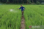 KTNA: Penurunan pupuk subsidi dan kepastian harga jadi perubahan nyata