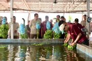 Local flagship commodities strengthen food security: Minister