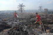 Manggala Agni padamkan karhutla 7,5 hektare di Rokan Hilir Riau