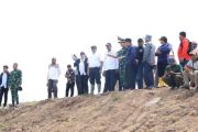 Menko Pangan sebut PSN upaya wujudkan kemandirian pangan di Papua