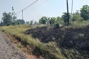 KAI Daop 7 Madiun larang petani bakar jerami di dekat jalur kereta