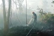 Sudah 151 hektare lahan terbakar di Kotim