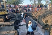 Paus bungkuk sepanjang tujuh meter terdampar di Perancak-Jembrana
