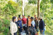 Kodim Agam ungkap ladang ganja di Palembayan, dua petani diamankan