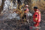 BPBD Pekanbaru siagakan 90 personel antisipasi karhutla, luas lahan terbakar capai 38 hektare