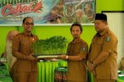 Kendalikan inflasi, NTB mulai gerakan tanam cabai di sekolah