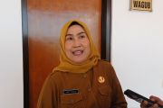 Pemprov Kepri urus pemberhentian 13 PPPK