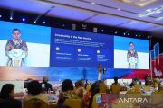 Pemerintah sebut ketidakpastian global kini menjadi "new normal"