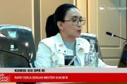Rieke minta Kemenkum percepat harmonisasi regulasi hukum nasional